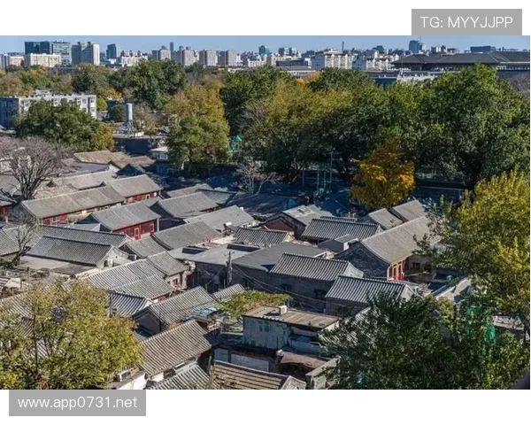 邢傲伟退役后住北京四合院，每天五点起床遛弯买豆浆